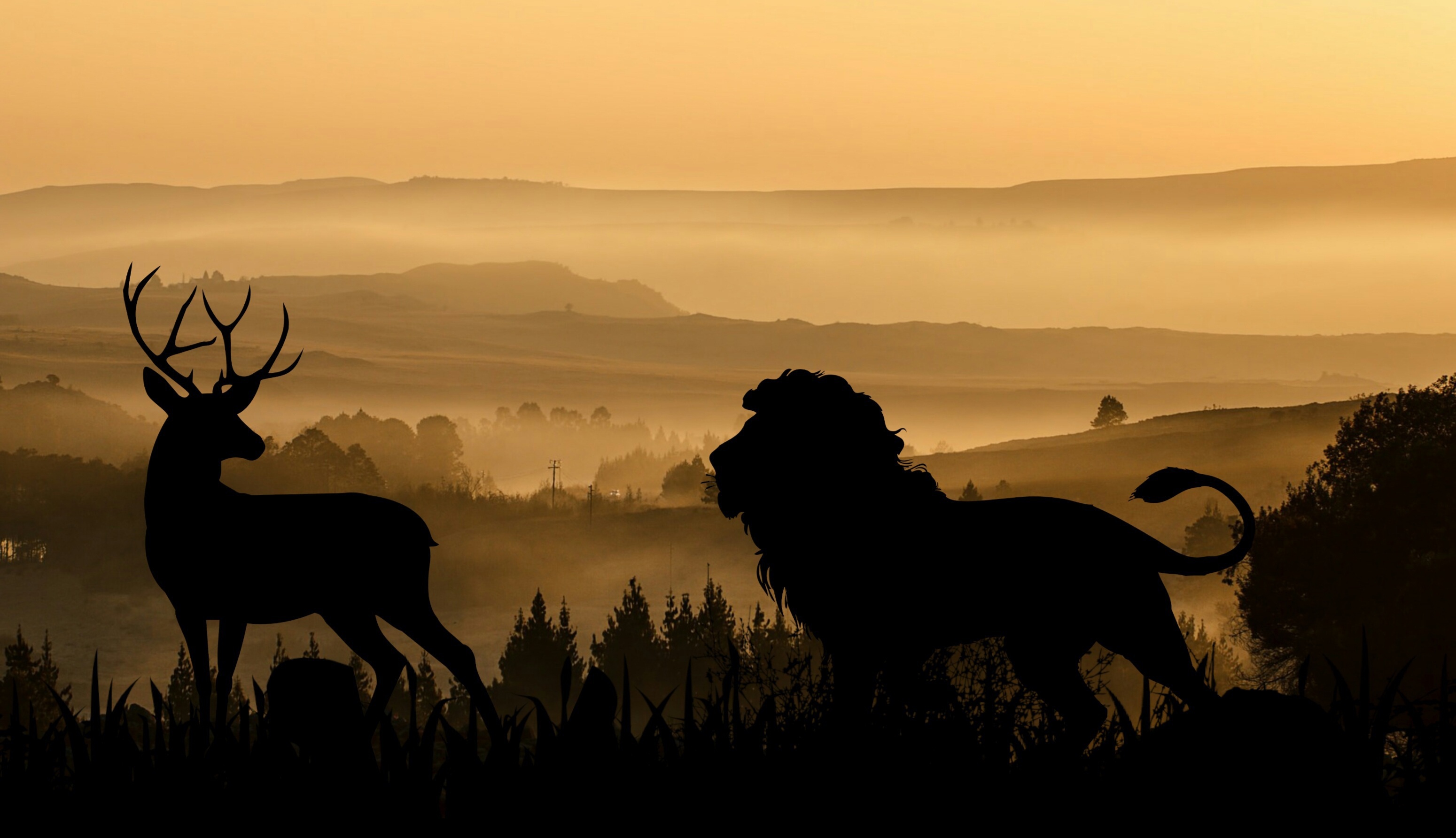 lion