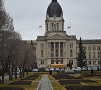 white_tailed_jackrabbit